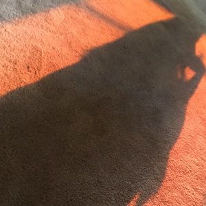 Meet your Posher, Misty